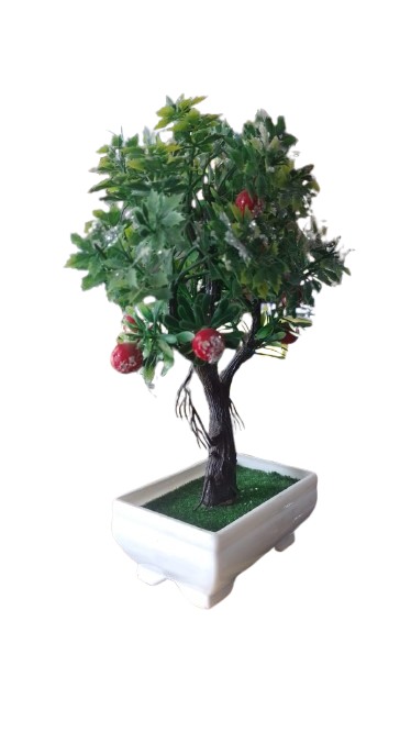 BONSAI DE NATAL